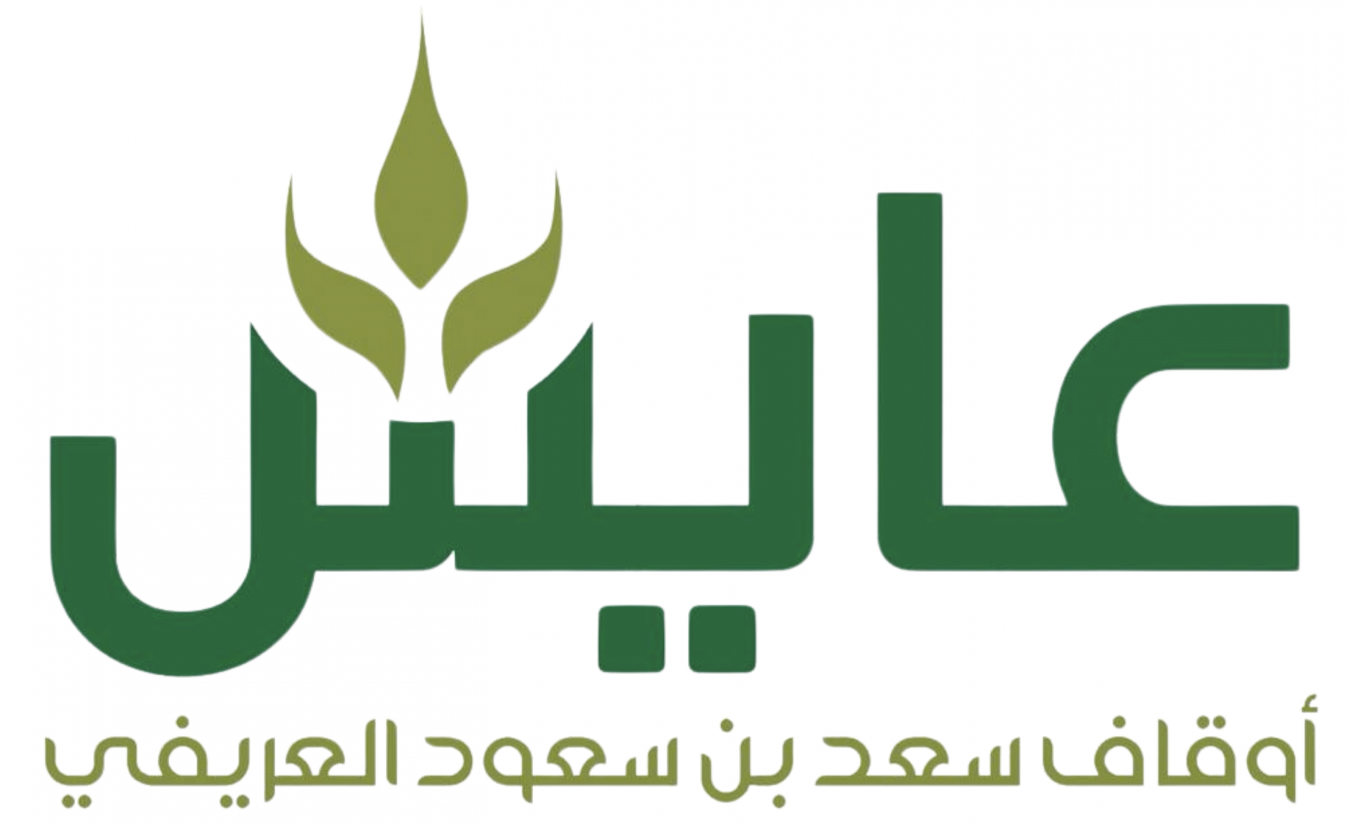 أوقاف سعد بن سعود العريفي "عايش"